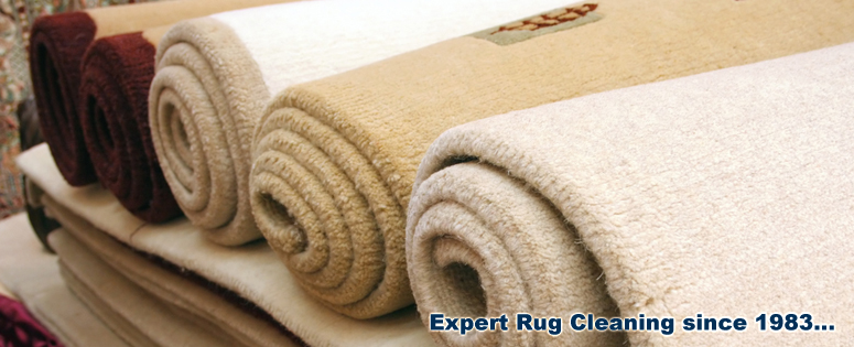 Area Rug Cleaning